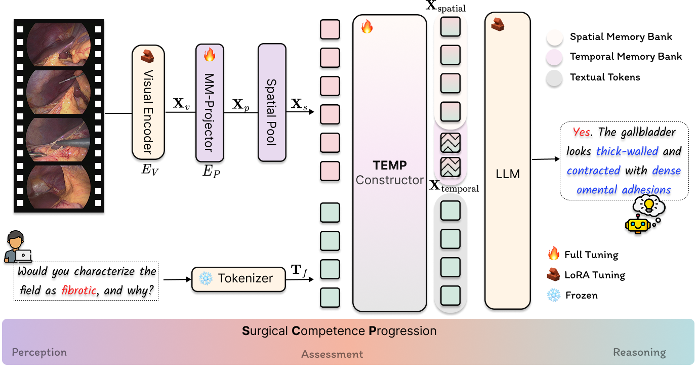 SurgTEMP model architecture overview