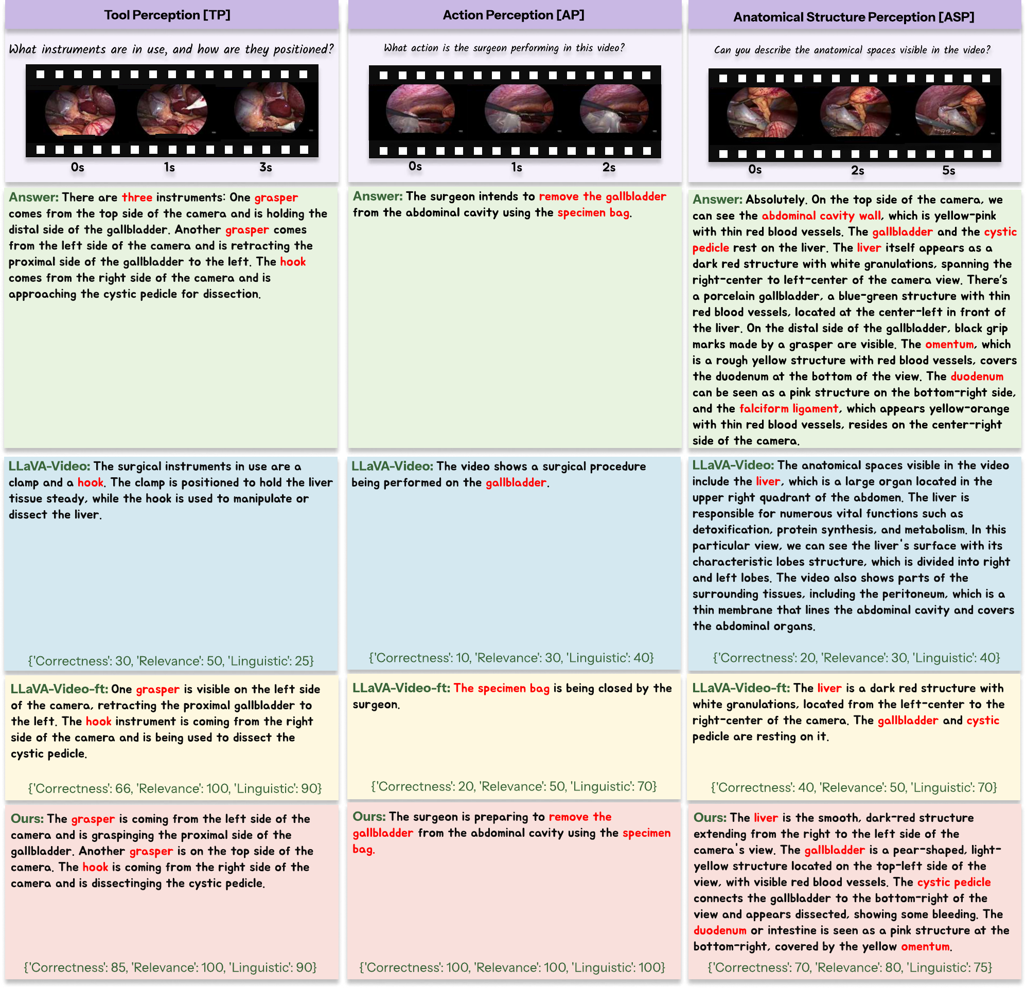 Qualitative perception examples — tool, action, anatomy